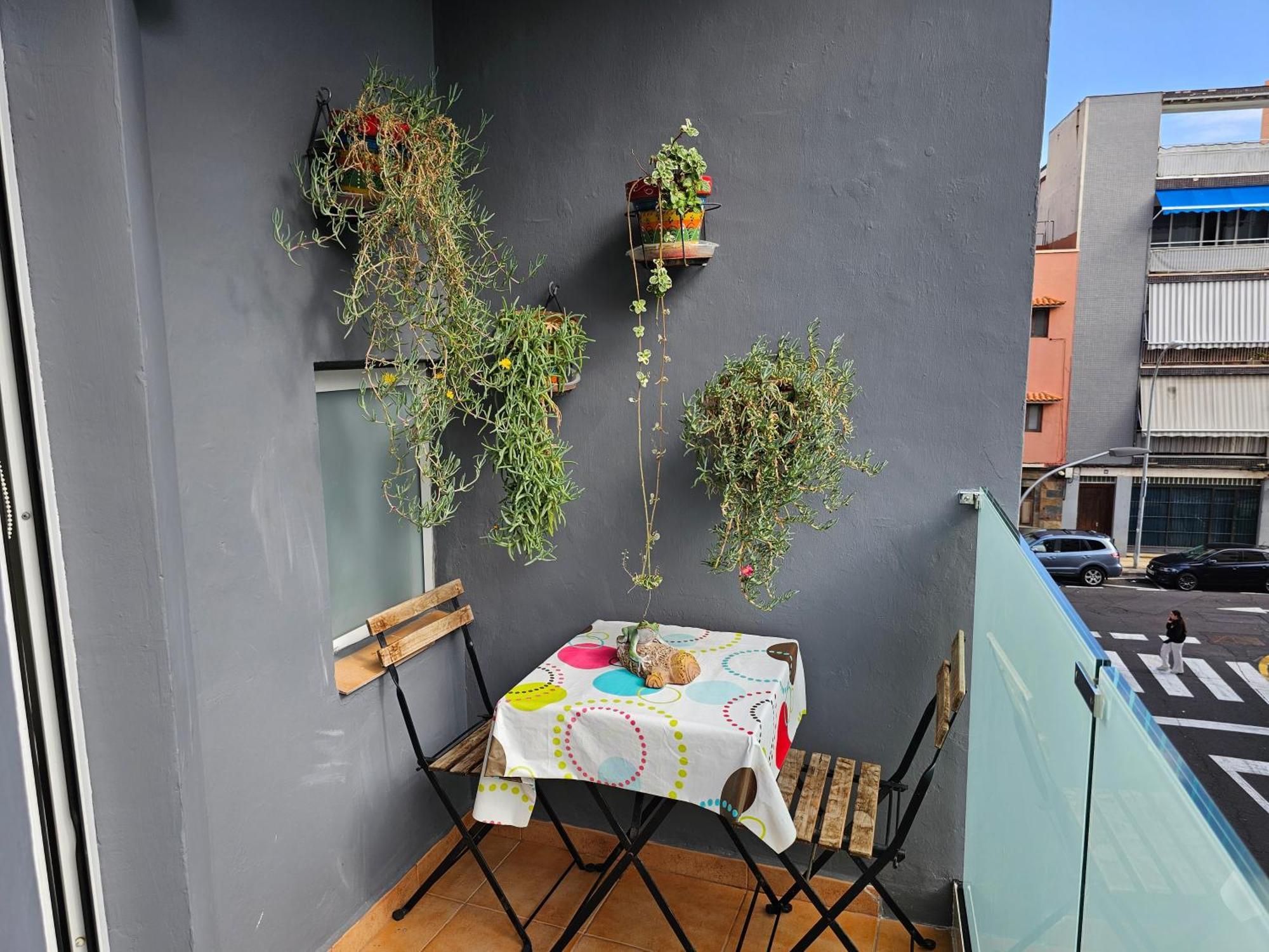סנטה קרוז דה טנריף Keka'S Guesthouse - City Centre מראה חיצוני תמונה